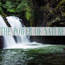 Nature Sounds: The Power of Nature