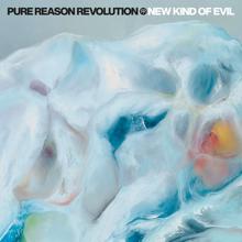 Pure Reason Revolution: New Kind of Evil