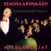 Seminaarinmäen Mieslaulajat: Suurempaa (Remix)