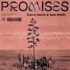 Calvin Harris, Sam Smith: Promises