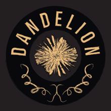 Dandelion: Fall and Cease (Live at PX, Volendam, 2014)