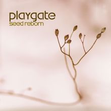 Playgate: Seed Reborn