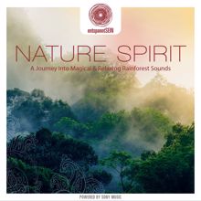 Jens Buchert: entspanntSEIN - Nature Spirit (A Journey Into Magical & Relaxing Rainforest Sounds)