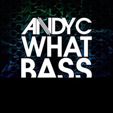 Andy C: What Bass