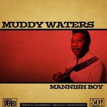 Muddy Waters: Mannish Boy