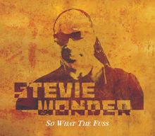 Stevie Wonder: So What The Fuss
