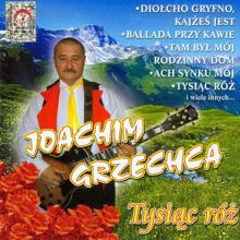 Joachim Grzechca: Dziolcho gryfno, kajzes jest