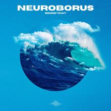 Neuroborus: Sound That