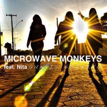 Microwave Monkeys feat. Nita: Sun Is Shining (Radio Version)