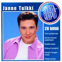 Janne Tulkki: Menneen talven lunta