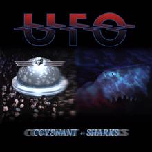 UFO: Fighting Man