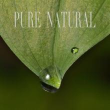 Nature Sounds: Pure Natural