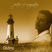 DJ Any: Picture Of Imagination