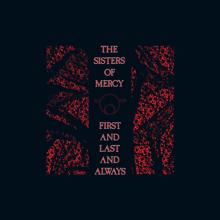 The Sisters Of Mercy: No Time to Cry