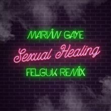 Marvin Gaye: Sexual Healing (Felguk Remix)