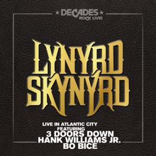 Lynyrd Skynyrd, 3 Doors Down: Kryptonite