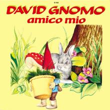 Various Artists: David Gnomo Amico mio / Tutti insieme noi guardiani bim bum bam