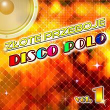 Various Artists: Zlote przeboje disco polo, Vol. 1