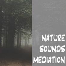 Nature Sounds: Nature Sounds Meditation