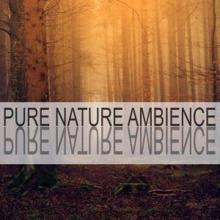 Nature Sounds: Pure Nature Ambience