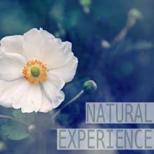 Nature Sounds: Natural Experience