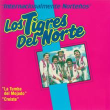 Los Tigres Del Norte: Balbinita (Album Version)