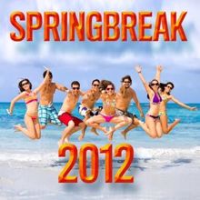 The CDM Chartbreakers: Springbreak 2012
