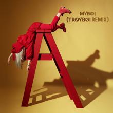 Billie Eilish: MyBoi (TroyBoi Remix)