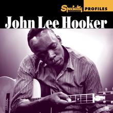 John Lee Hooker: Burnin' Hell