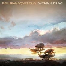 Emil Brandqvist Trio: Frid