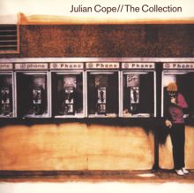 Julian Cope: Spacehopper