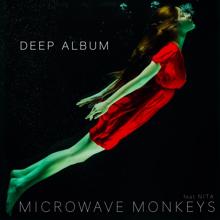 Microwave Monkeys feat. Nita: I've Been Thinking About You (Vocal Radio Edit)
