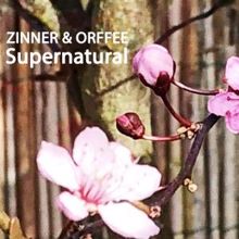 Zinner & Orffee: Supernatural