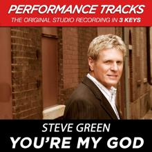 Steve Green: You're My God (Performance Tracks)