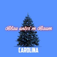 Carolina: Blau unter'm Baum