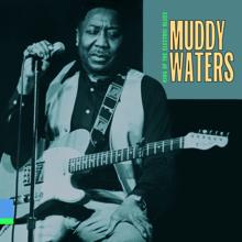 Muddy Waters: Mean Old Frisco Blues