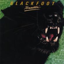 Blackfoot: Reckless Abandoner