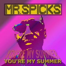 Mr. Spicks: You're My Summer