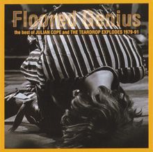 The Teardrop Explodes: Floored Genius: The Best Of Julian Cope And The Teardrop Explodes 1979-91