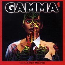 GAMMA: Gamma 1