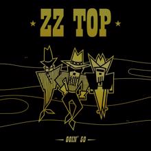 ZZ Top: Goin' 50 (Deluxe Edition)
