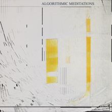 NN: Algorithmic Meditations
