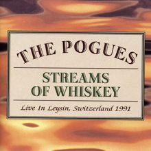 The Pogues: The Sickbed of Cuchulainn (Live)
