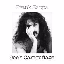 Frank Zappa: I Heard A Note