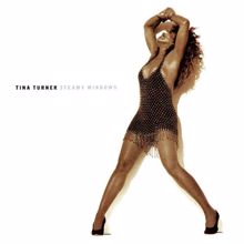 Tina Turner: Steamy Windows (The Singles)