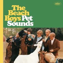 The Beach Boys: I Just Wasn't Made For These Times (Mono / Remastered 2012) (I Just Wasn't Made For These Times)