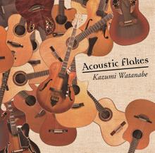 Kazumi Watanabe: Acoustic Flakes