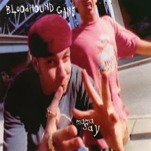 Bloodhound Gang: Mama Say (Devil's Food Cake Mix)