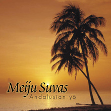 Meiju Suvas: Andalusian yö