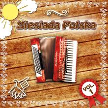 Various Artists: Biesiada vol. 1